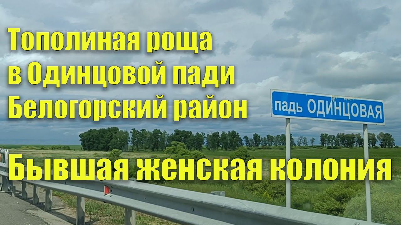Бывшая женская колония - тополиная роща в Одинцовой пади, Белогорский район Амурская область. смотреть онлайн