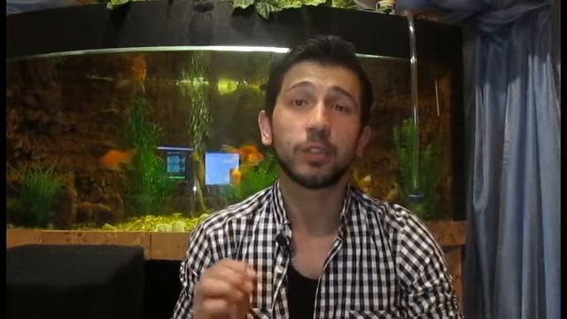 Никому ничего не доказывайте смотреть онлайн