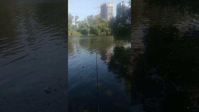 Что делать, когда не клюет?!))) смотреть онлайн