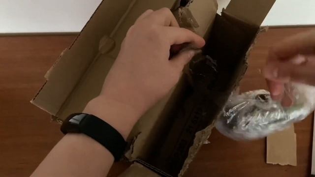 Обзор посылки с цветами [Монстера Acacoyaguensis]