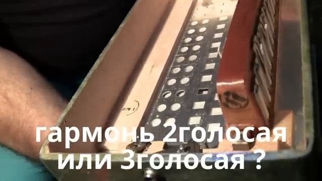 гармонь 2голосая или 3голосая ? Как определить ( музыкант Сергей Замбровский, Германия) смотреть онлайн