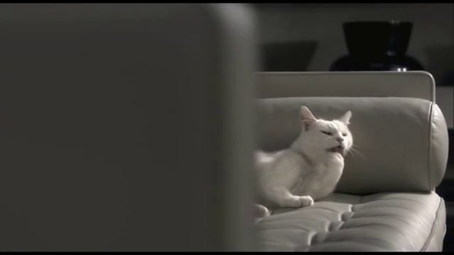 Silence Force de Rowenta смотреть онлайн