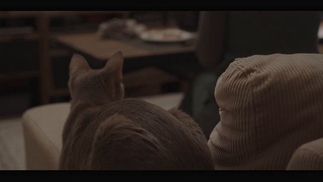 【VLOG】残り少ないお正月休みで初詣とカレンダーを手作りして過ごす／紅白おでんのレシピ смотреть онлайн