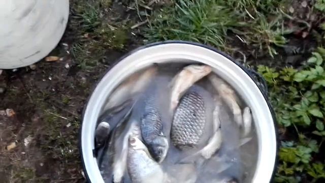 Промывка солюшки 04.05.2019. смотреть онлайн