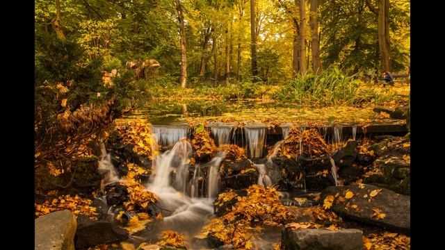 Красивая расслабляющая музыка! Музыка осени!