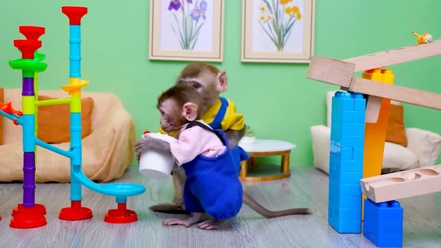 Funniest Animals 2023 - KiKi Monkey Play Marble Run Race ☆ HABA Slope -30 Minutes Funny Baby Videos