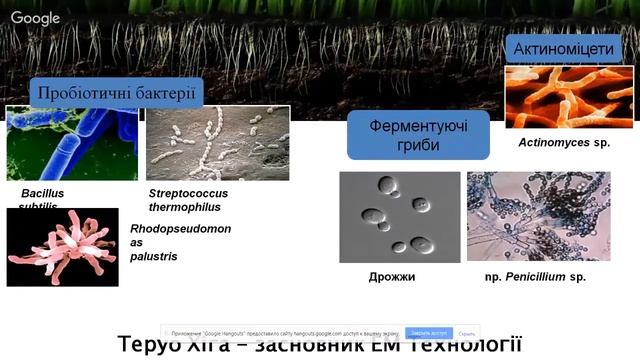 Органический огород: что делать осенью смотреть онлайн