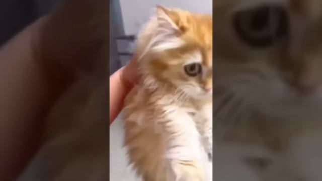 А что тут такого😋 смотреть онлайн