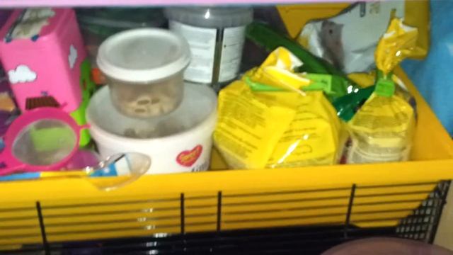 hamster room tour смотреть онлайн
