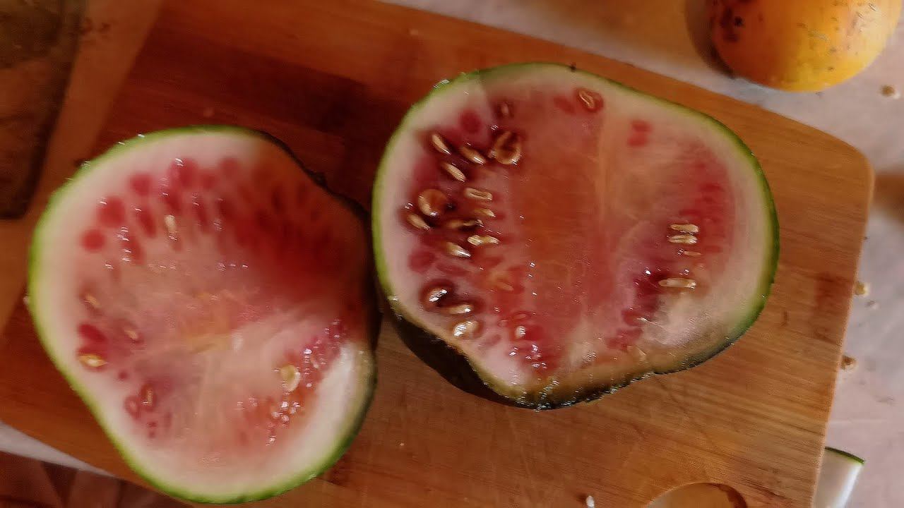 Режем Арбуз   на семена 2024