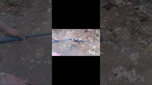 Kia Bongo 3 J3 CRDI Pms Catalitic Converter Cleaning