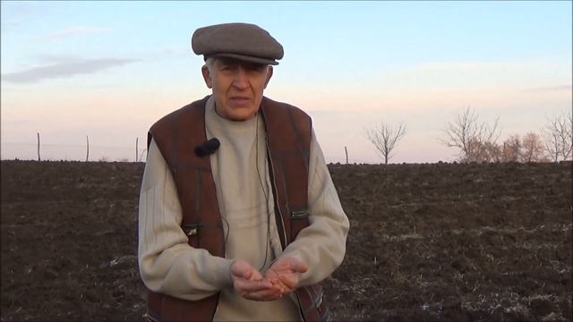 Дал слово - выполняй. Фундуку на орехе медвежьем быть. Ноябрь 2016