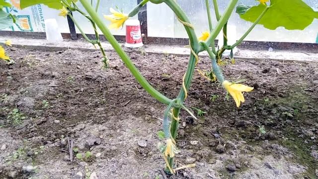 Строймарафон