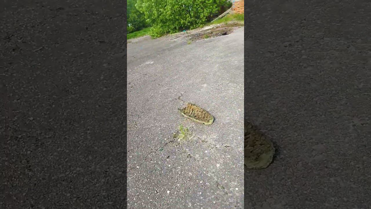 Детали ИЖа, Onyx, Chicago Bulls, китайский мотор 172FMM. смотреть онлайн