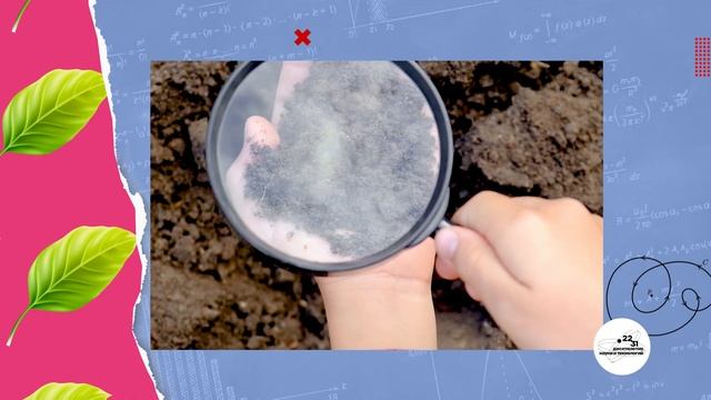 Что общего у почвы и антибиотиков? / Микробиолог Кирилл Антонец / А почему? смотреть онлайн