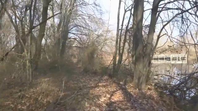 "WINTER POND" (Sony wx350, mp4 video) (Sony Movie Studio 13) смотреть онлайн