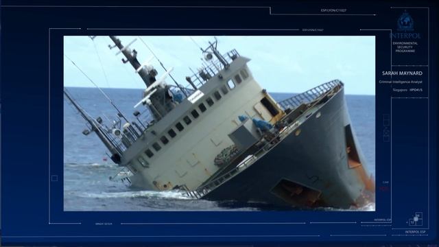 A Day in the Life of an INTERPOL Analyst смотреть онлайн