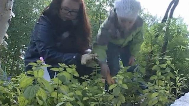 детский сад №22 "Надежда" г. Новоуральск смотреть онлайн