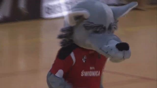 ŚKPR Świdnica - Szary Wilk Show смотреть онлайн
