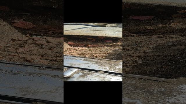 VID_20230730_102021.mp4