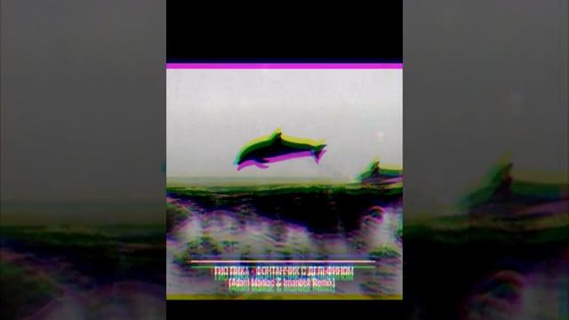 песня ГИО ПИКА фонтанчик с чёрным дельфином смотреть онлайн