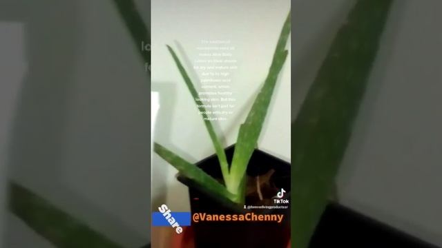 THE BEST BODY LOTION DESCRIPTION PART 3 смотреть онлайн