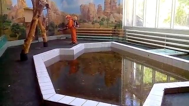 Зоопарк. Дезинсекция( безопасна для теплокровных животных). Новосибирск. смотреть онлайн