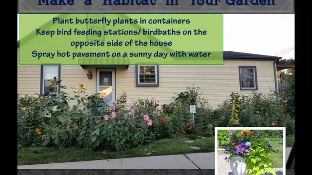 Butterfly Gardening Webinar смотреть онлайн