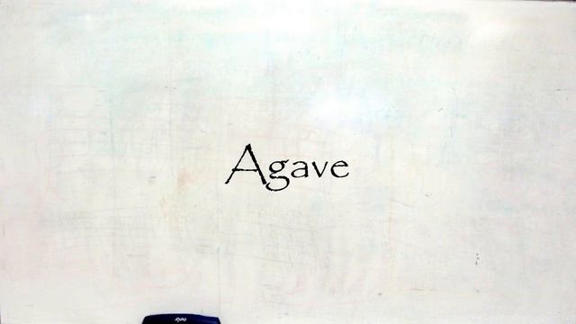 How To Pronounce Agave In American English ? How To Pronounce Agave In British English New Video смотреть онлайн