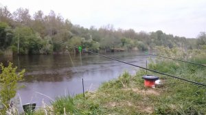 рыбалка на новоладожском канале