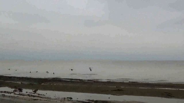 Краснодарское водохранилище (Кубанское море), осень 2016 смотреть онлайн