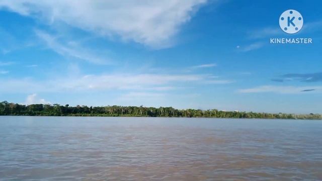 Путешествие по АМАЗОНКЕ,Amazon river tour. смотреть онлайн