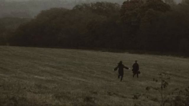 you're falling in love with someone you can't have [ dark academia playlist ] смотреть онлайн
