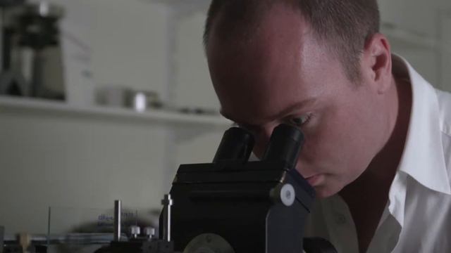 Metamaterials: Prof Roy Sambles talks to the IOP смотреть онлайн