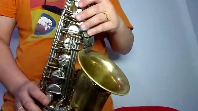 Lark china saxophone m4019 alto saxophone. with holton mouthpiece смотреть онлайн