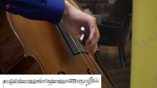 C. Saint-Saëns: Allegro appassionato op. 43 - Martin Kutnar, violončelo / Bistrički ZVUKOLIK 2015. смотреть онлайн