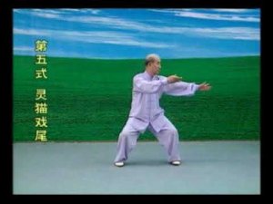 Professor Zhang Guang De. Даоинь Яншен Гун: «Комплекс связки и суставы. Сохранение позвоночника» №2.