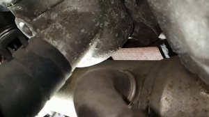 D4FA D4FB  1.5 1.6 Crdi расположение маркировки мотора