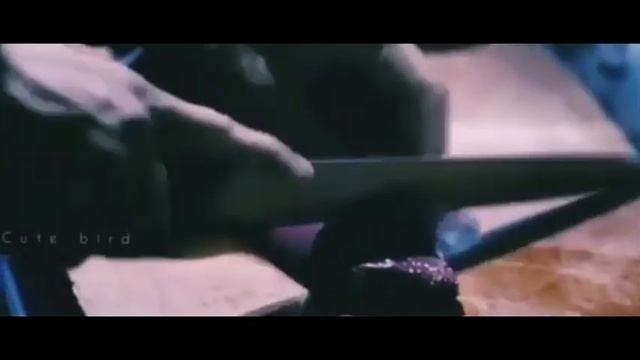 Toxic Love Story?// Kidnapping // Obssession// Force Love?