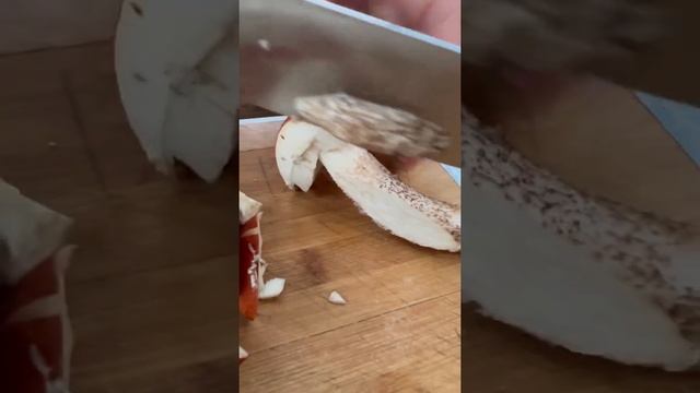 Мастерство и Инновации