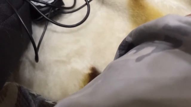Мой ноутбук смотреть онлайн