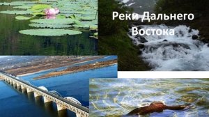 Дальний Восток - край контрастов