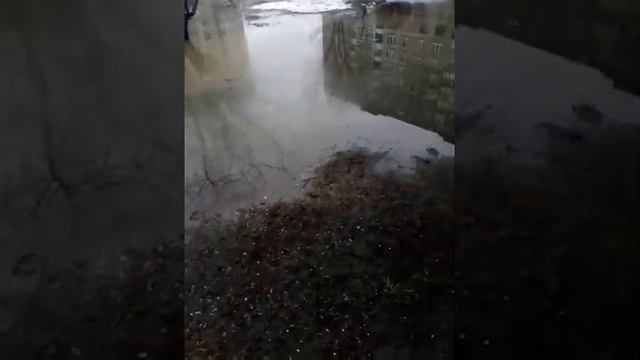 Детская Площадка, С Бассейном!!!🤣🤣🤣 смотреть онлайн