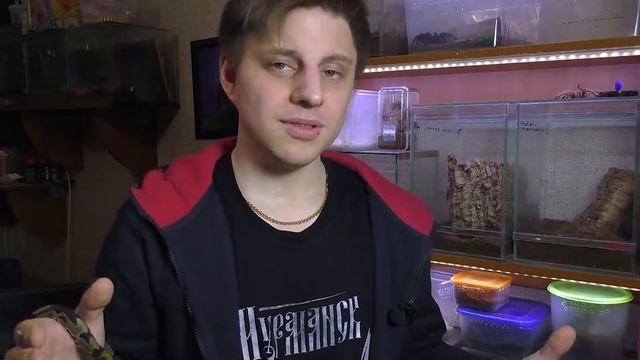 Что будет с каналом?!