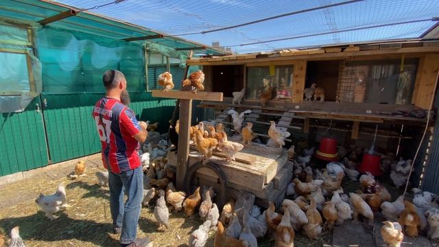 тишь до гладь, и тут появился с булкой смотреть онлайн