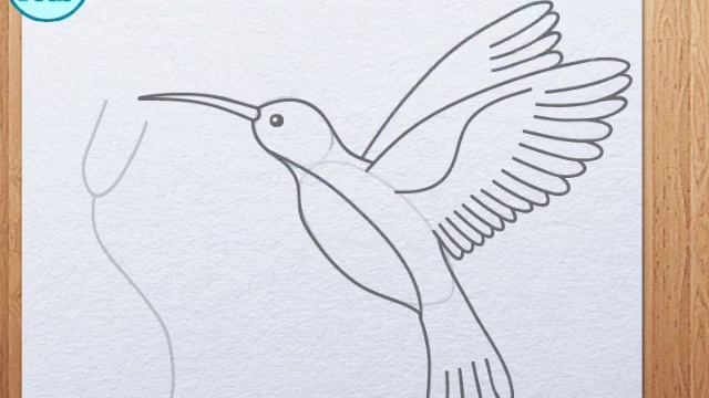 How to draw Humming Bird / Colibri смотреть онлайн