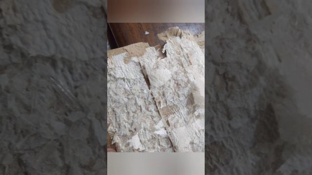 motorway police aur ANF ki kaarvayi смотреть онлайн