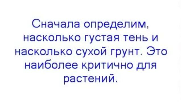 Тенистый сад смотреть онлайн