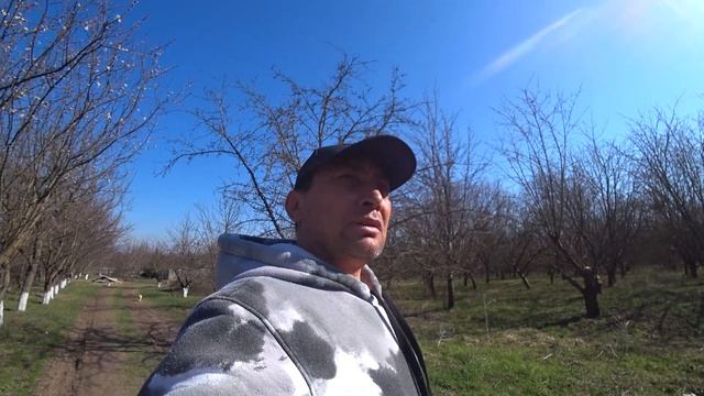 САЗАН ГОРЯЧЕГО КОПЧЕНИЯ/ШАРАБАН НА КОСТРЕ ПО ДАЛЬНЕВОСТОЧНОМУ/ смотреть онлайн