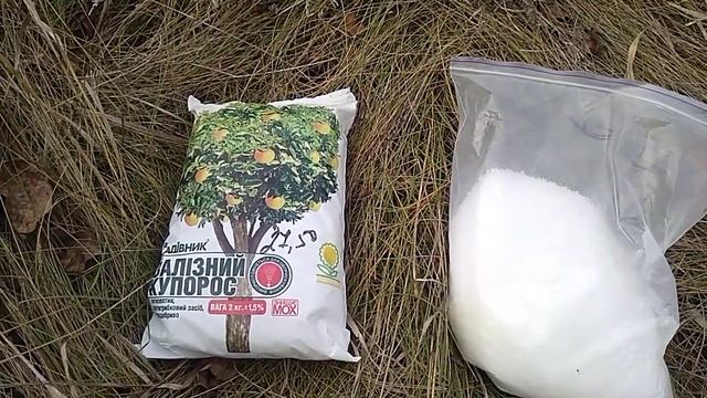 обработка грецкого ореха осенью, доступно и эффективно смотреть онлайн